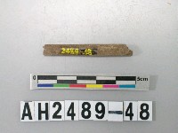 藏品(磨製石針)的圖片